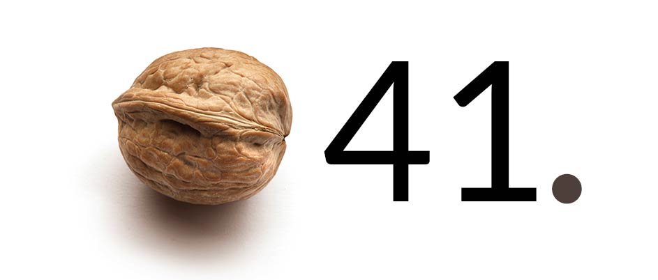 Noce 41