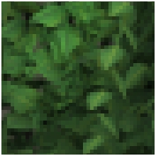 Decorazioni - Grass